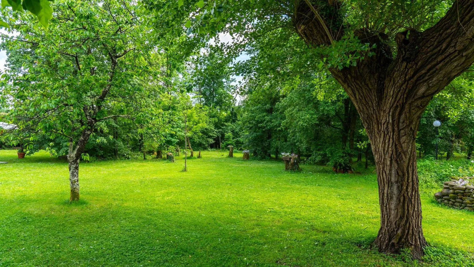 Guest house Case Bernardini Suites Ghivizzano