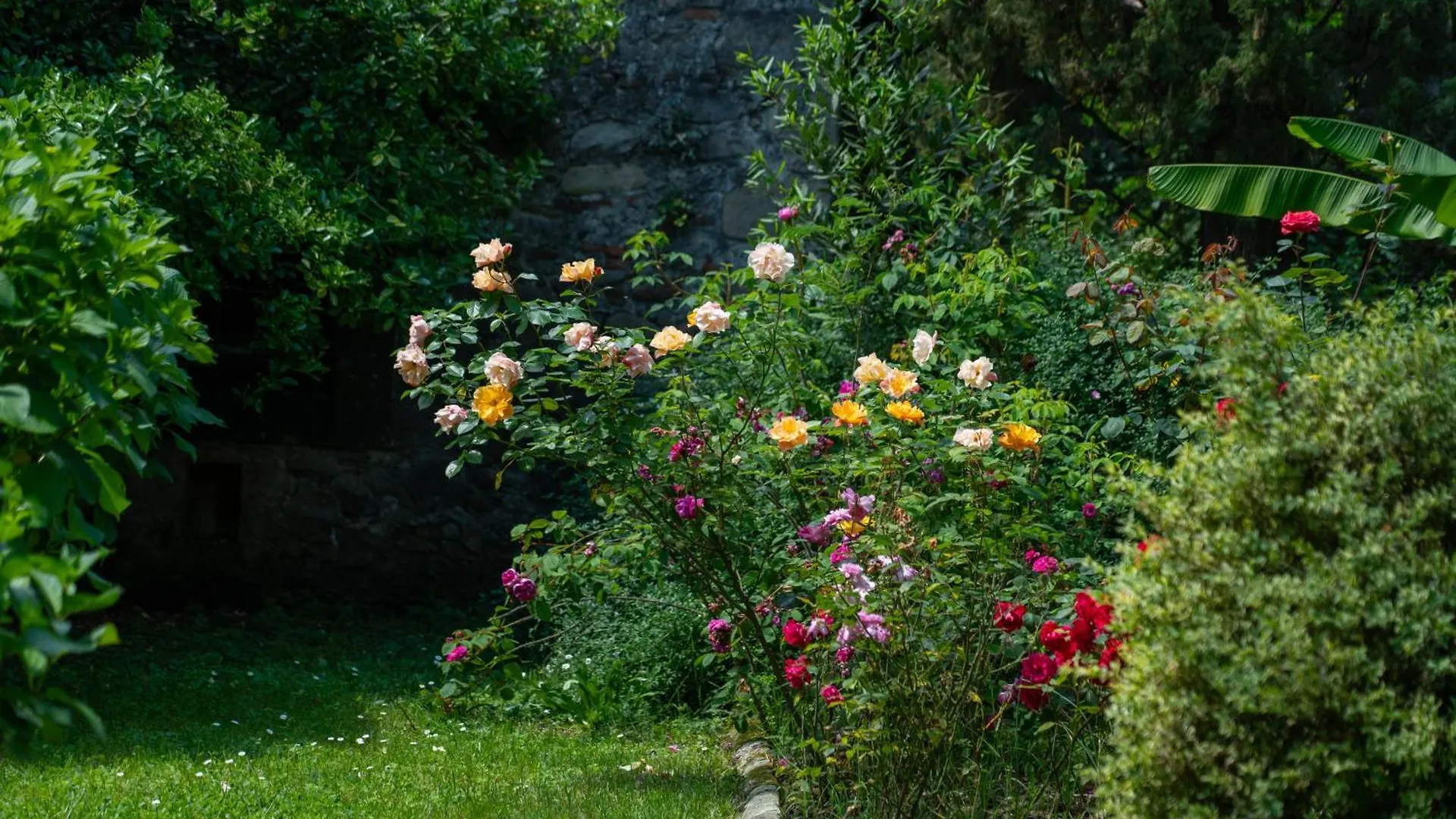 Case Bernardini Suites Ghivizzano Guest house