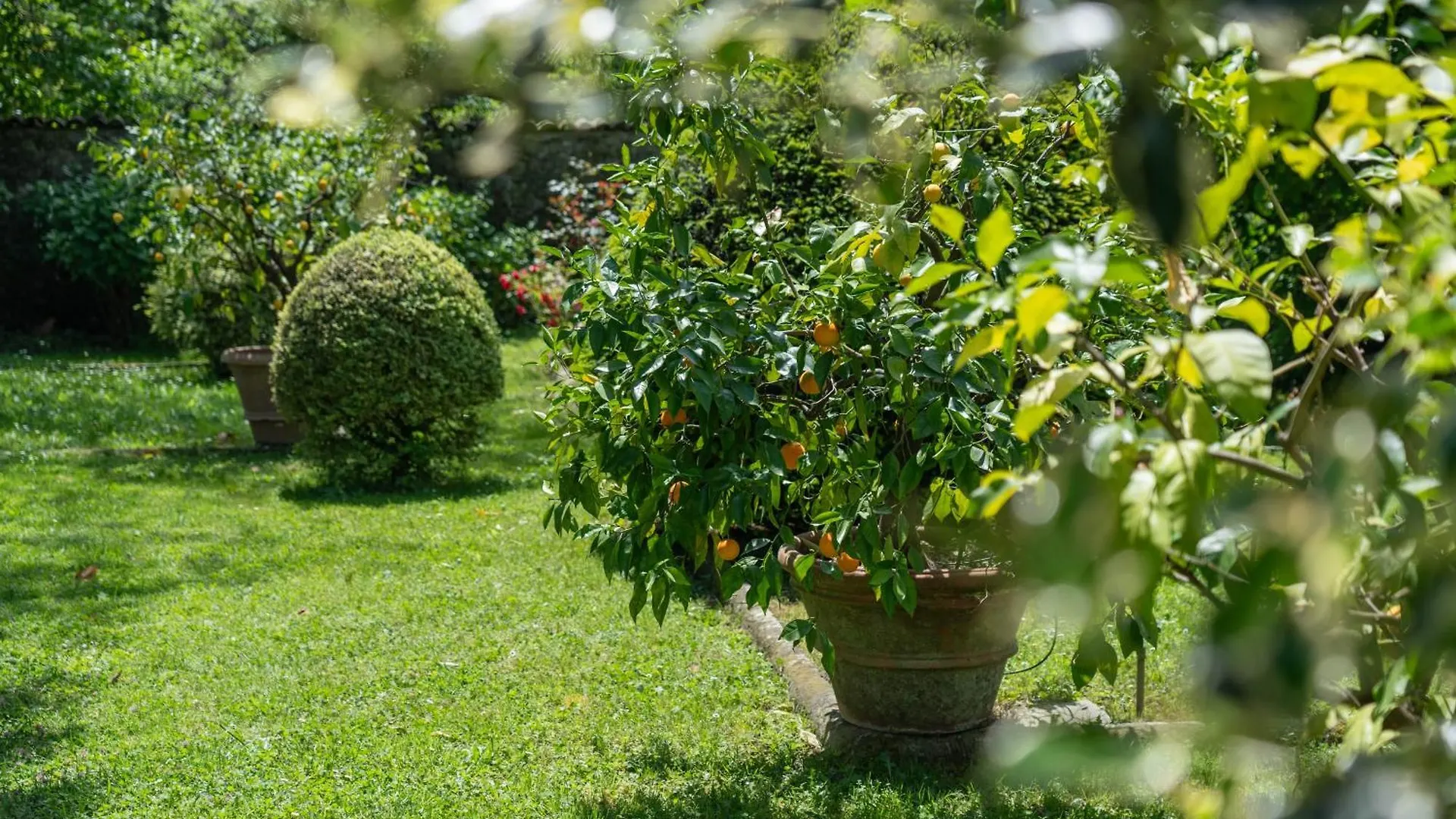 Case Bernardini Suites Ghivizzano 0*,  Italy
