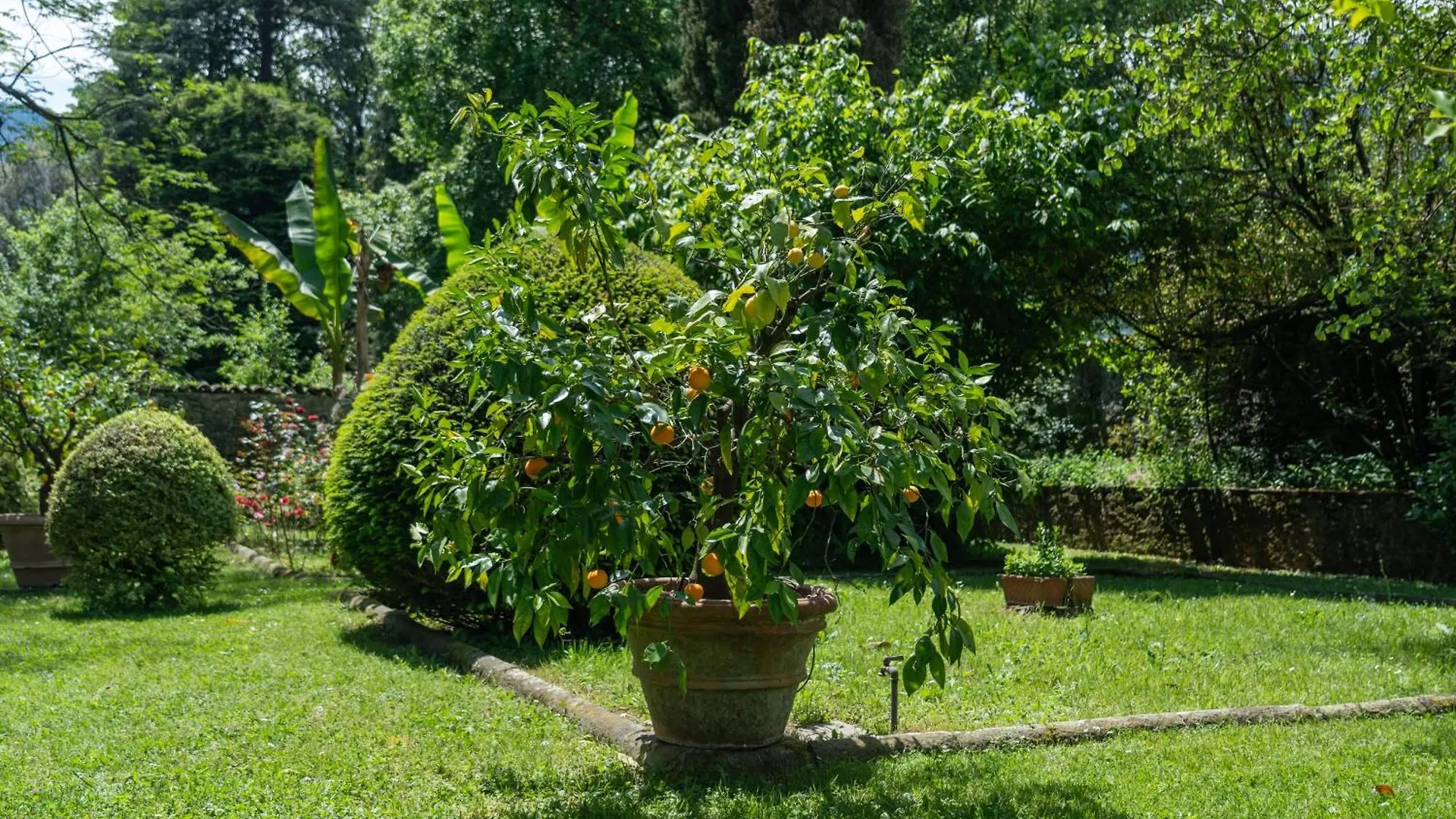 Guest house Case Bernardini Suites Ghivizzano Italy