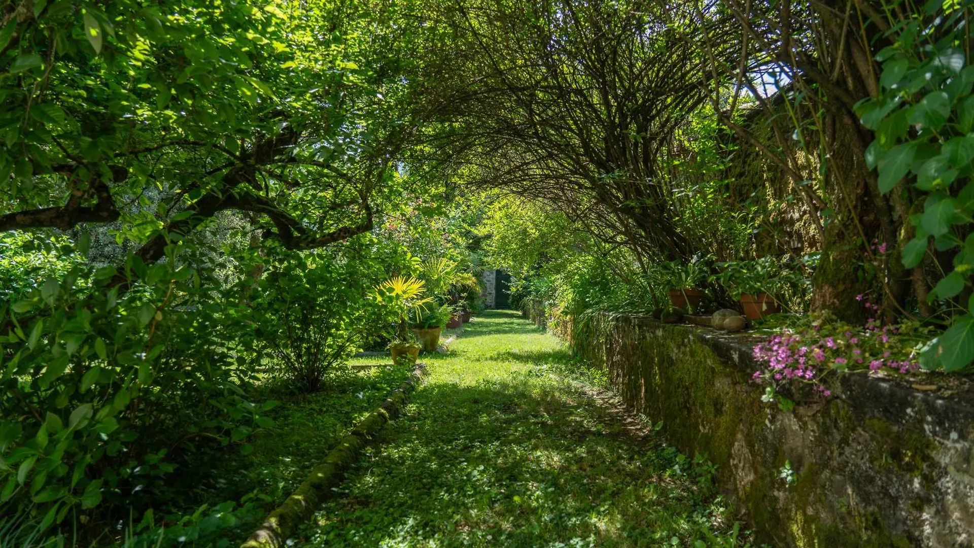 Guest house Case Bernardini Suites Ghivizzano